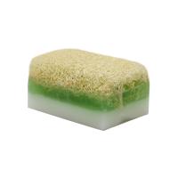 Kabak Lifli Eşek Sütü & Aloe Vera Sabun
